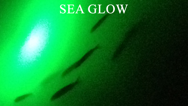 Underwater Lights Sea Glow, Houston, TX