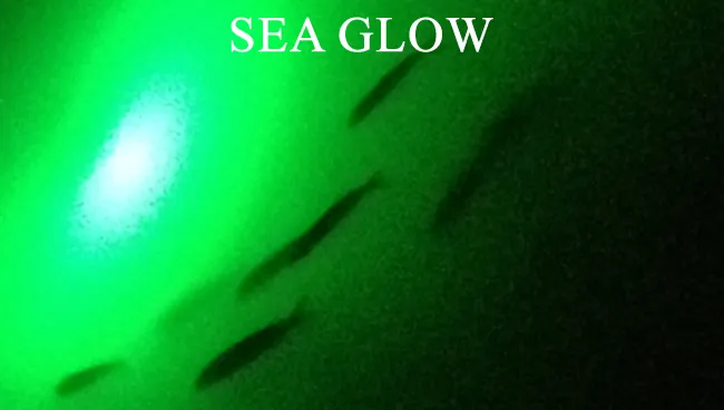 Sea Glow Green Light Effect