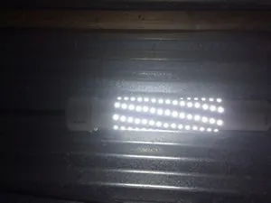 White Light